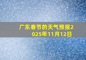 广东春节的天气预报2025年11月12日