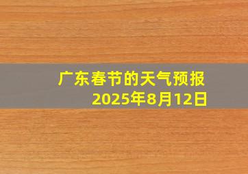 广东春节的天气预报2025年8月12日