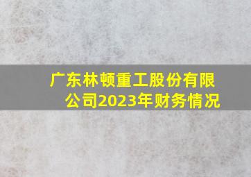 广东林顿重工股份有限公司2023年财务情况