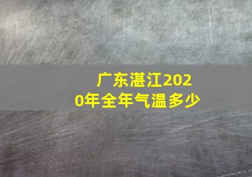 广东湛江2020年全年气温多少