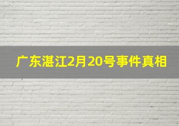 广东湛江2月20号事件真相