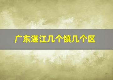 广东湛江几个镇几个区