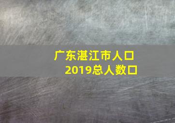 广东湛江市人口2019总人数口