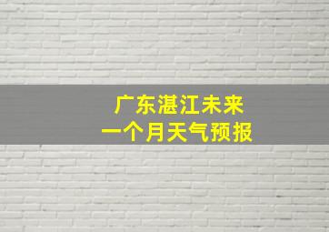 广东湛江未来一个月天气预报