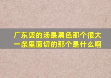 广东煲的汤是黑色那个很大一条里面切的那个是什么啊