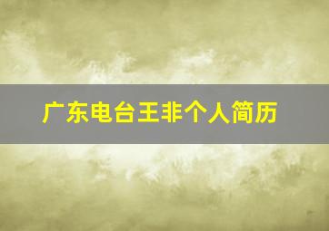 广东电台王非个人简历