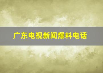 广东电视新闻爆料电话