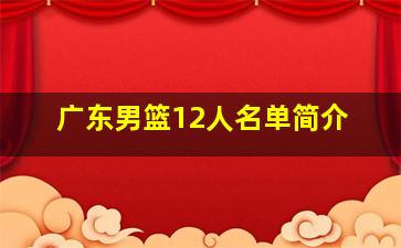 广东男篮12人名单简介