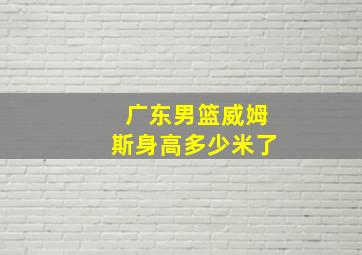 广东男篮威姆斯身高多少米了