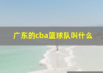 广东的cba篮球队叫什么