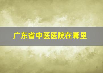 广东省中医医院在哪里