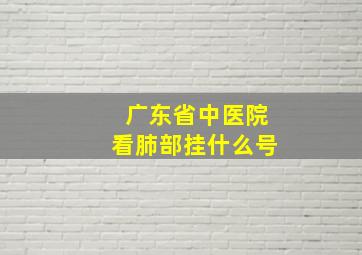 广东省中医院看肺部挂什么号