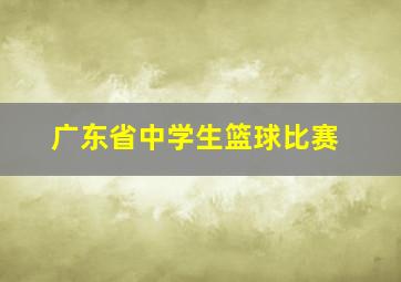 广东省中学生篮球比赛