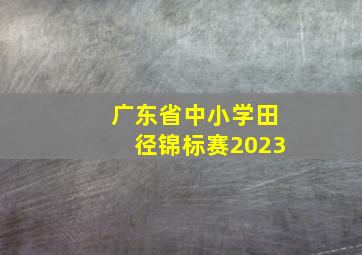 广东省中小学田径锦标赛2023