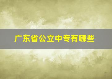 广东省公立中专有哪些