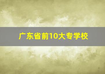 广东省前10大专学校