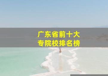 广东省前十大专院校排名榜