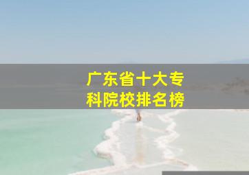 广东省十大专科院校排名榜