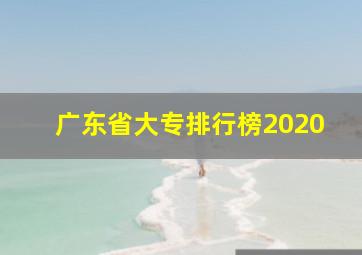 广东省大专排行榜2020