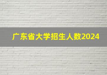 广东省大学招生人数2024