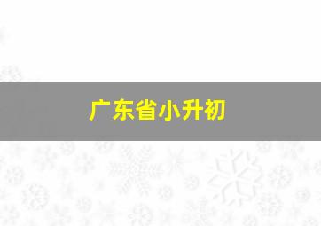 广东省小升初