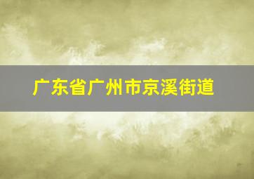 广东省广州市京溪街道