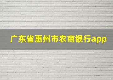 广东省惠州市农商银行app