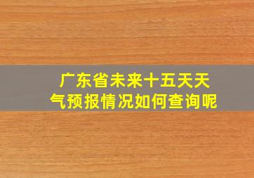 广东省未来十五天天气预报情况如何查询呢