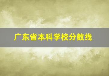 广东省本科学校分数线