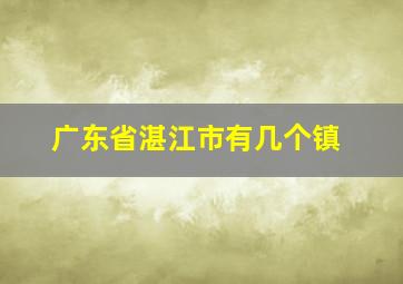 广东省湛江市有几个镇