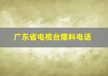 广东省电视台爆料电话