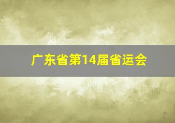 广东省第14届省运会