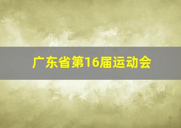 广东省第16届运动会