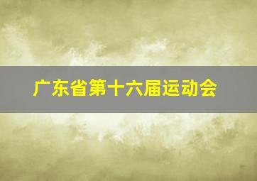 广东省第十六届运动会