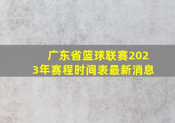 广东省篮球联赛2023年赛程时间表最新消息