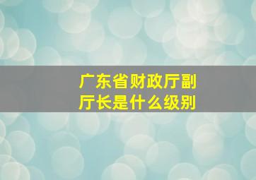 广东省财政厅副厅长是什么级别