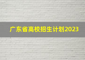 广东省高校招生计划2023