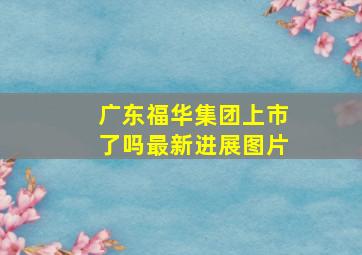 广东福华集团上市了吗最新进展图片