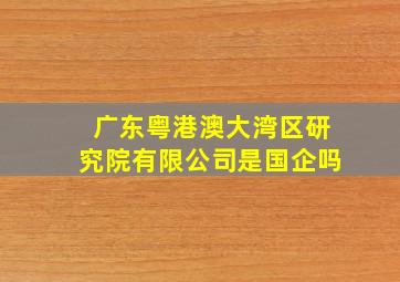 广东粤港澳大湾区研究院有限公司是国企吗