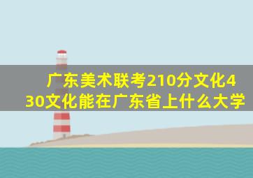 广东美术联考210分文化430文化能在广东省上什么大学