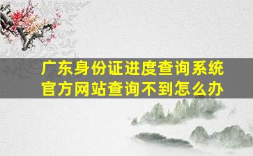 广东身份证进度查询系统官方网站查询不到怎么办