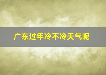 广东过年冷不冷天气呢