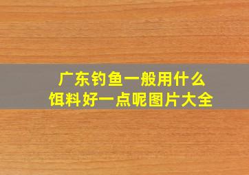 广东钓鱼一般用什么饵料好一点呢图片大全