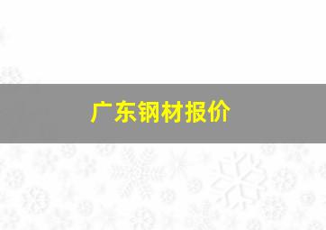 广东钢材报价