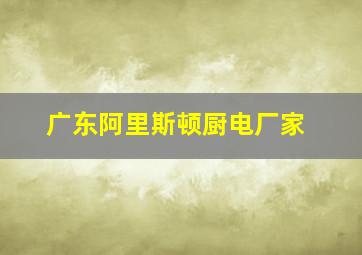 广东阿里斯顿厨电厂家