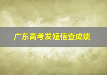 广东高考发短信查成绩