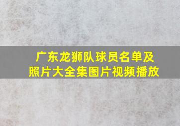 广东龙狮队球员名单及照片大全集图片视频播放