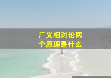 广义相对论两个原理是什么