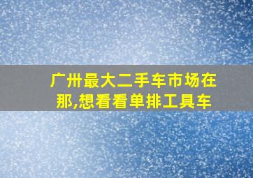 广卅最大二手车市场在那,想看看单排工具车