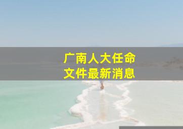 广南人大任命文件最新消息